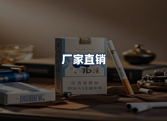 专业团队办公环境